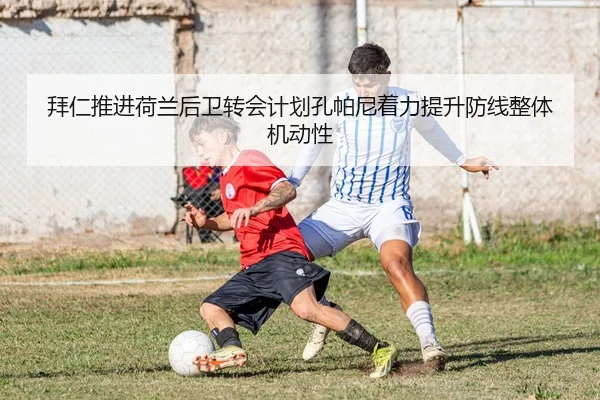 img_1783249255964_2098_1_661.jpg